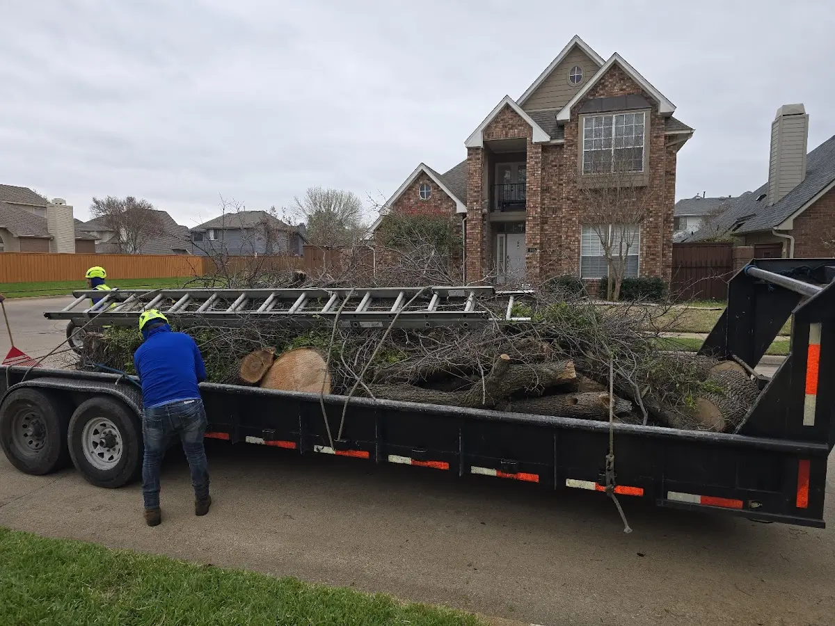 Expert Tree Removal with proper safety equipment in Mammoth Cave
